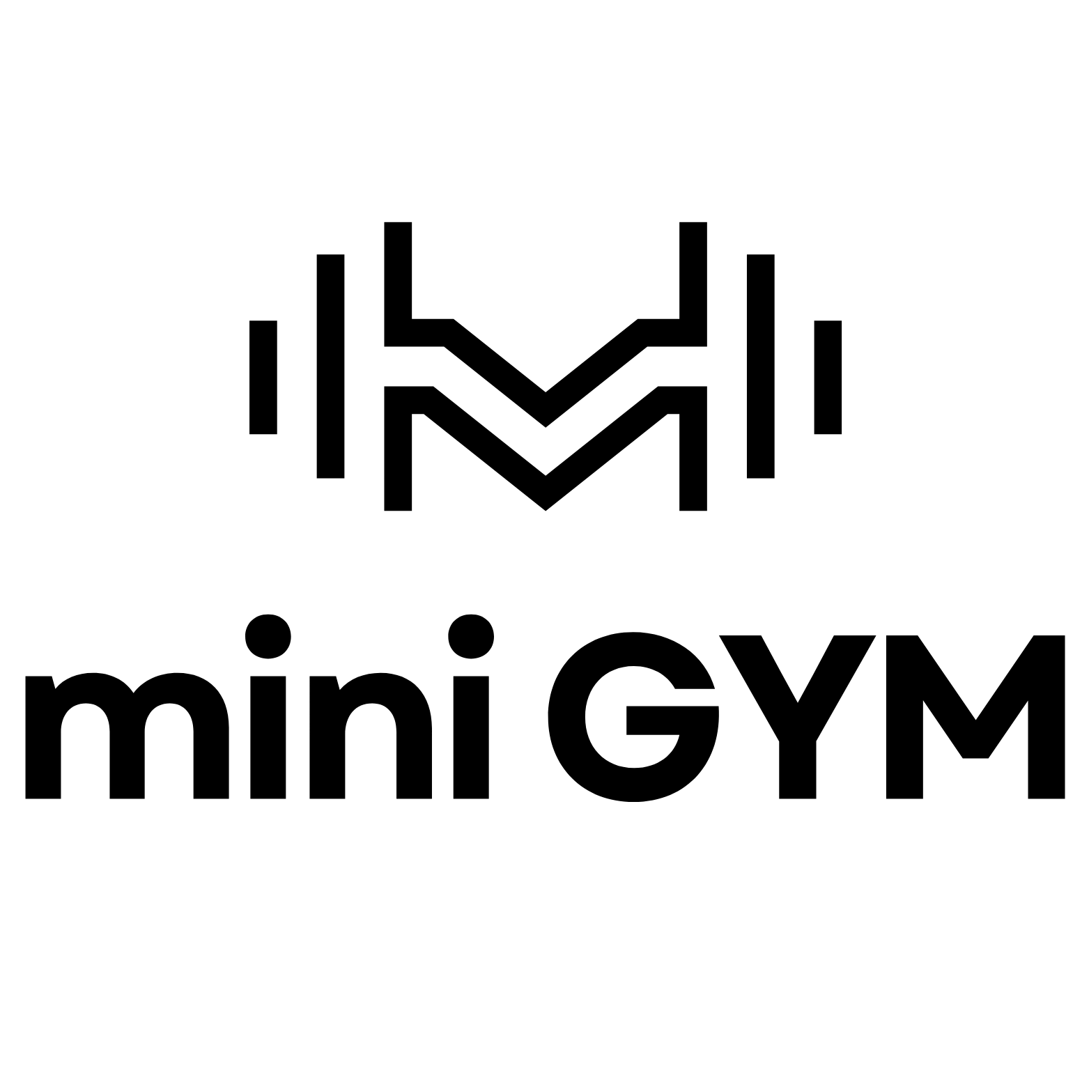 mini GYM