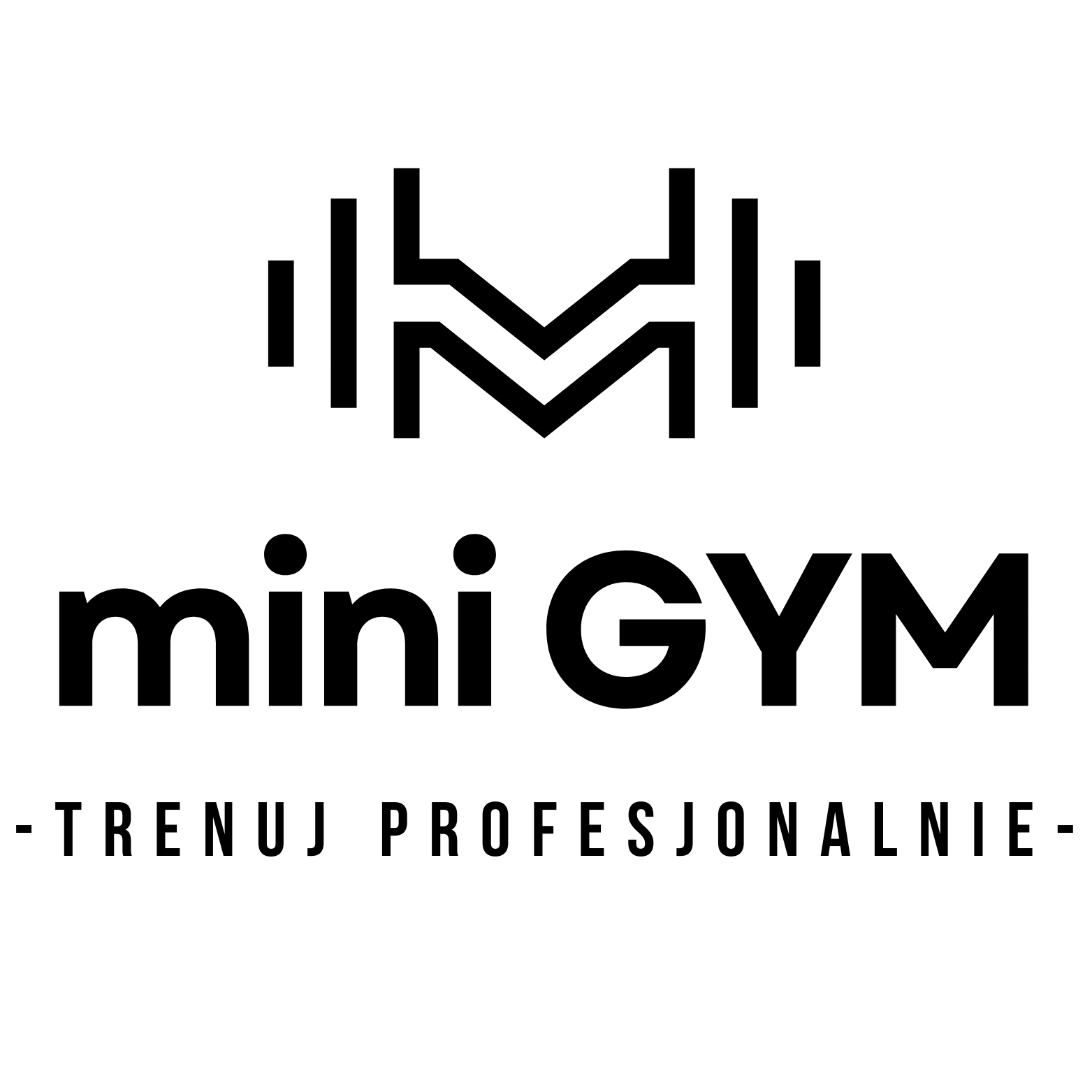 mini GYM - trenuj profesjonalnie -